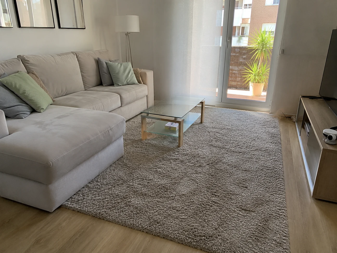 Alfombra limpia en un salón luminoso